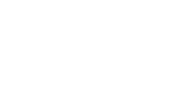 Your Mentor